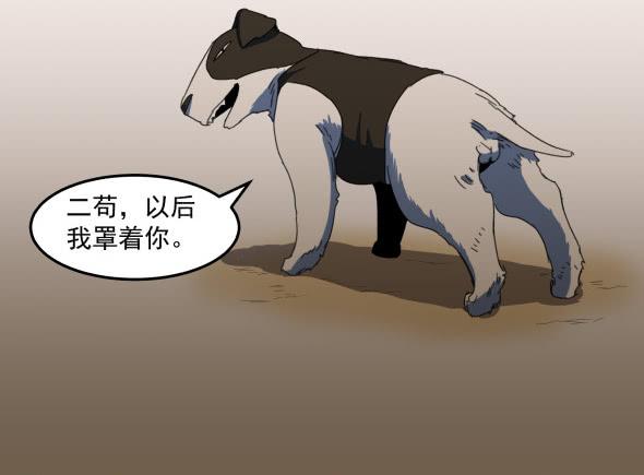 以后我罩着你20