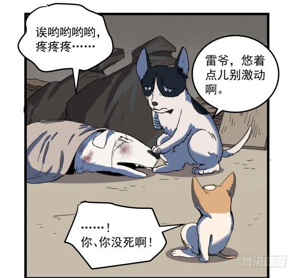 以后我罩着你23