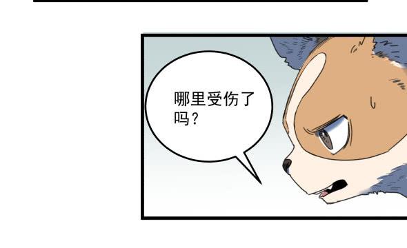 以后我罩着你24