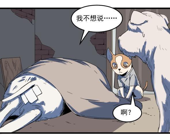 以后我罩着你26