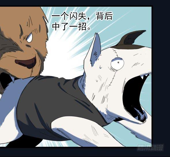 以后我罩着你29