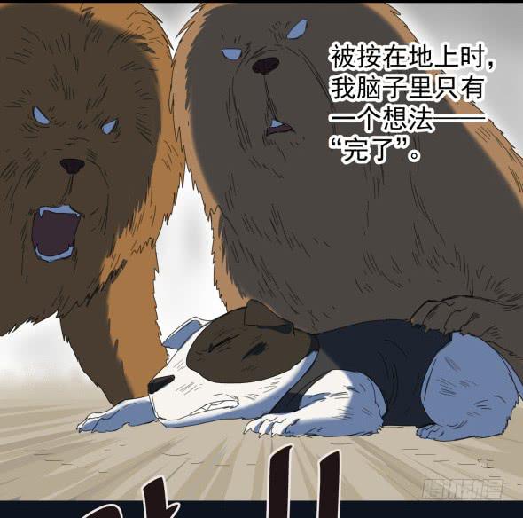 以后我罩着你30