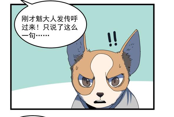 以后我罩着你4