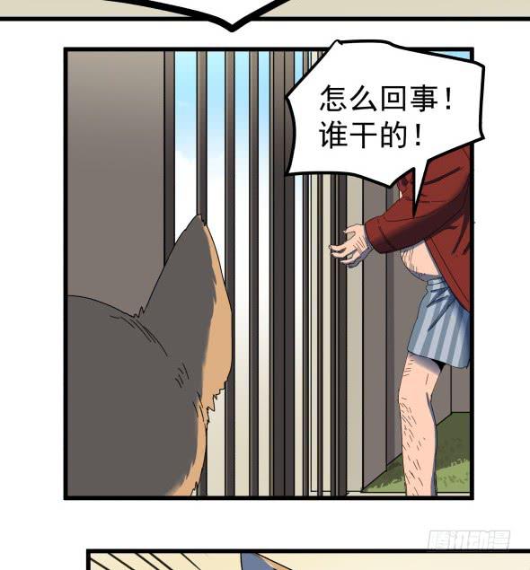 以后我罩着你43