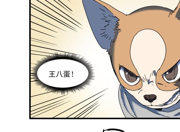 以后我罩着你44