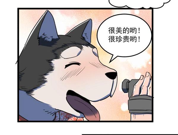 意外的求婚20