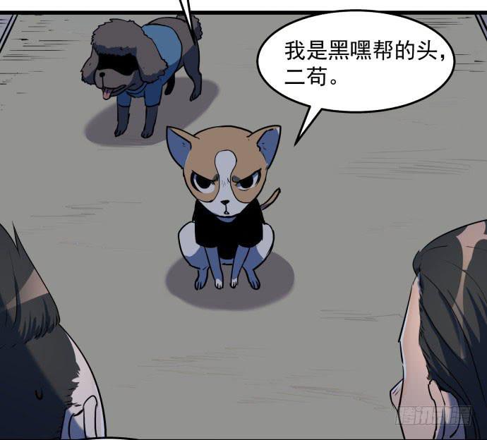 比起神，我们才更像个人！40