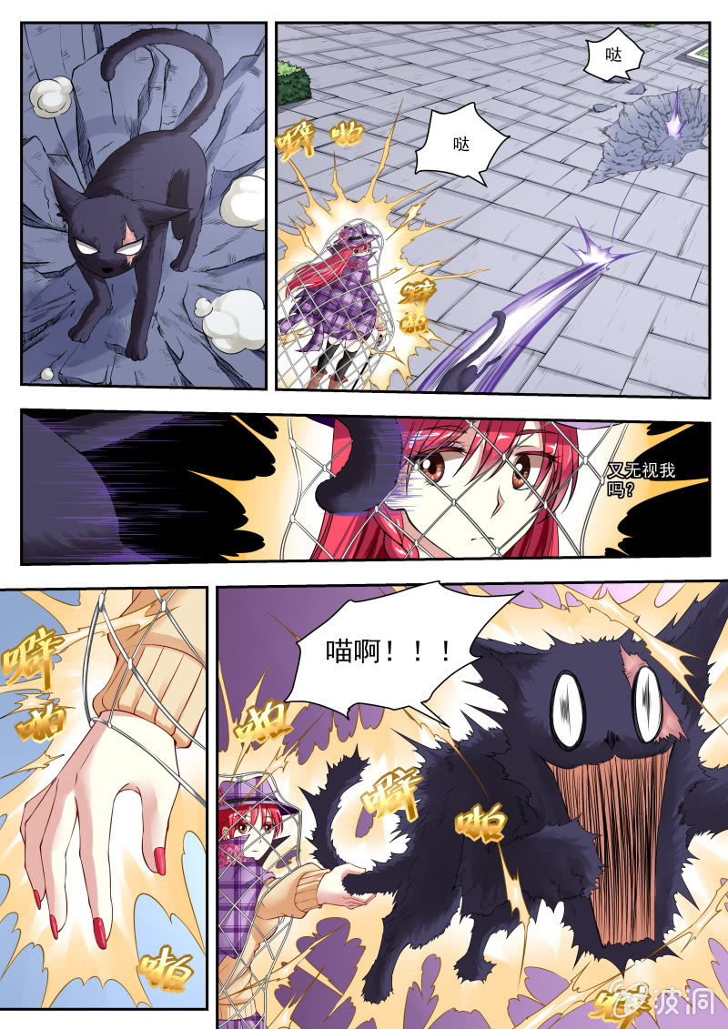 002话：黑猫之谜10
