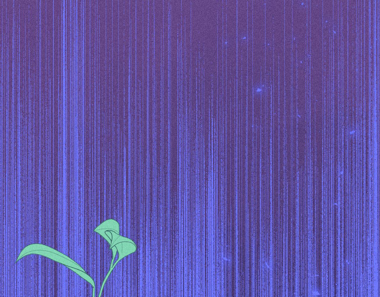 53-担忧15