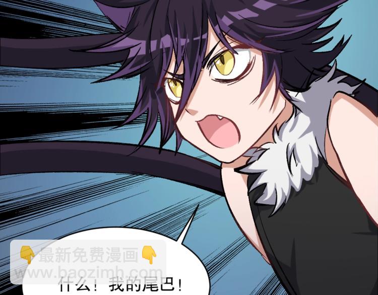 第21话 聚宝猫又113