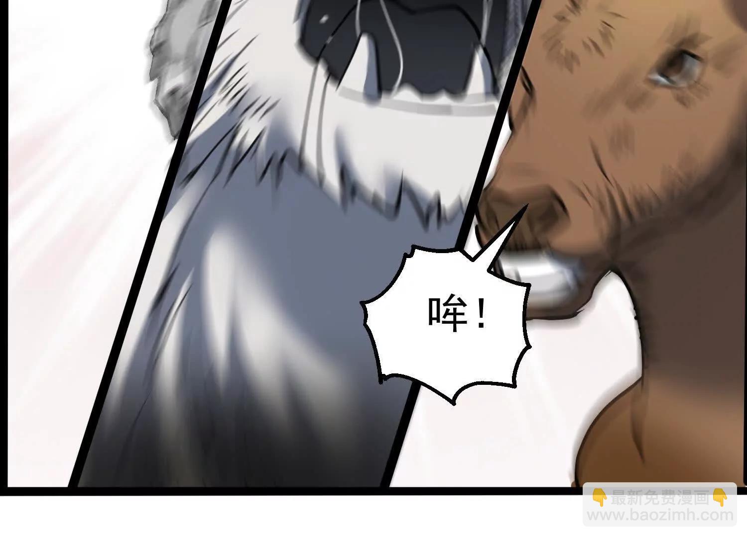 玄女大人57