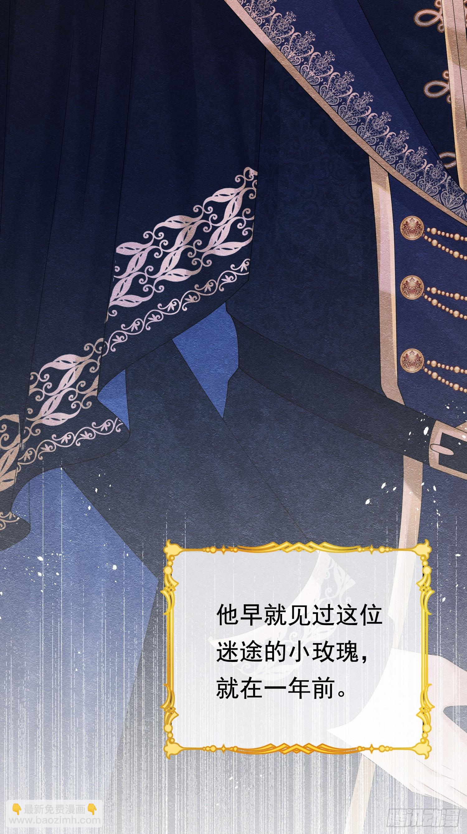 01 迷途的小玫瑰44