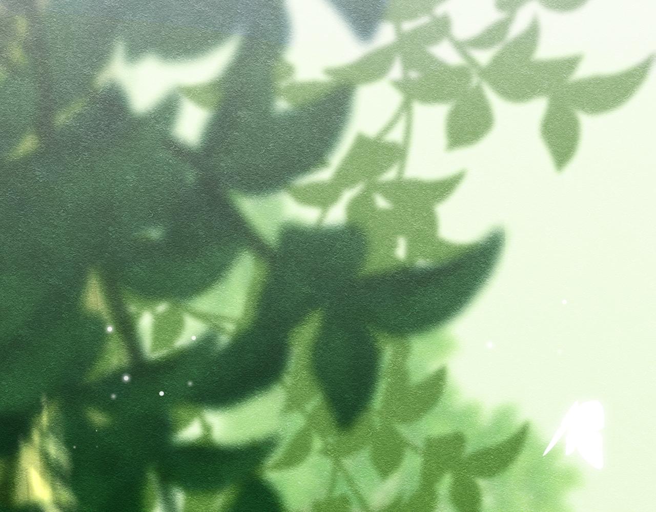 15 期待28