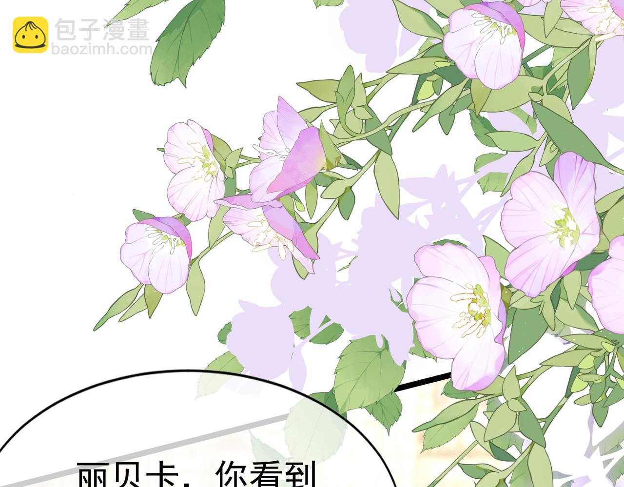 15 期待5