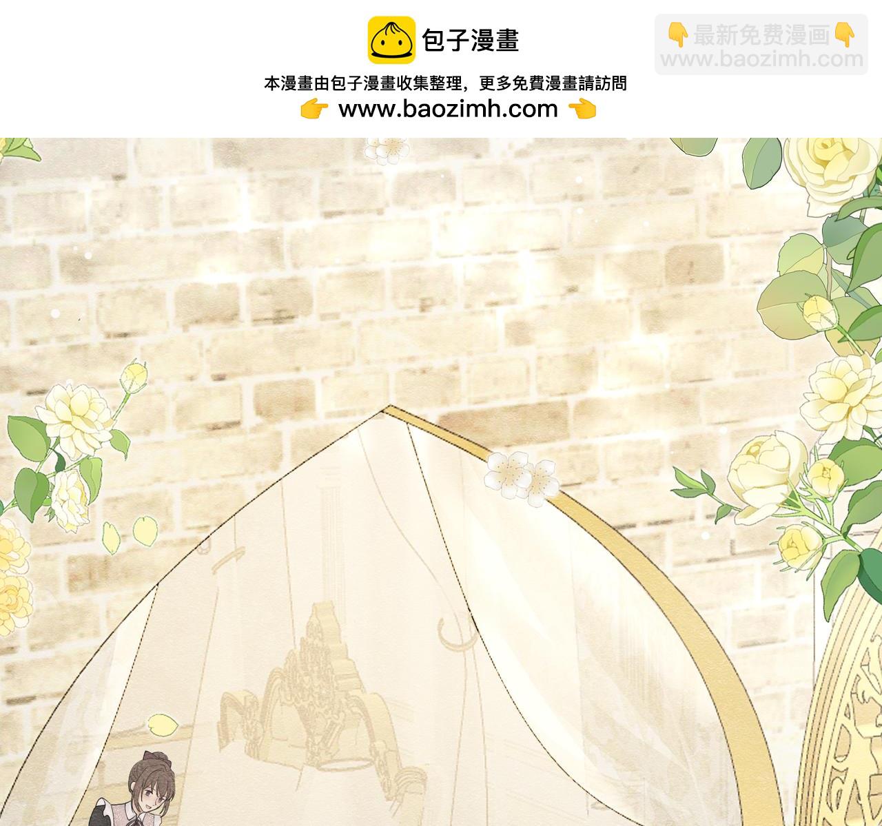 20 被确定的新娘（下）1