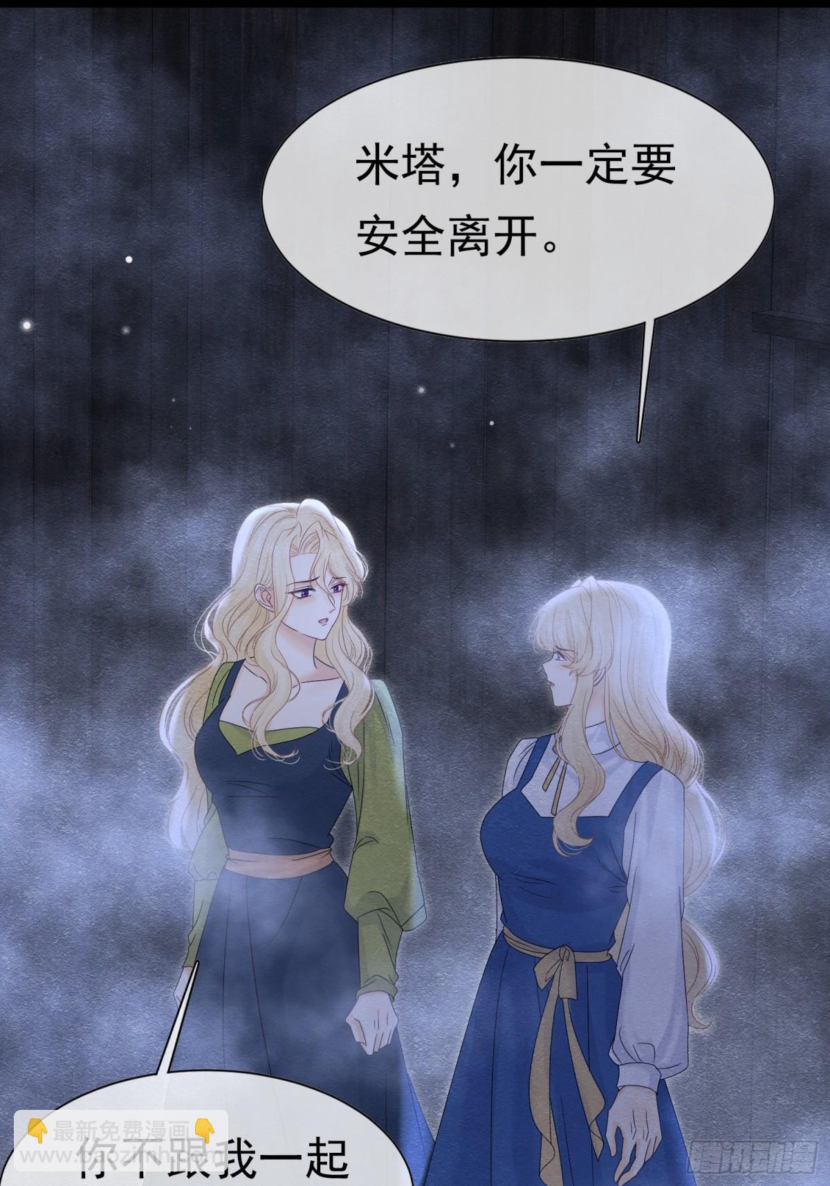 37 德维特主教52