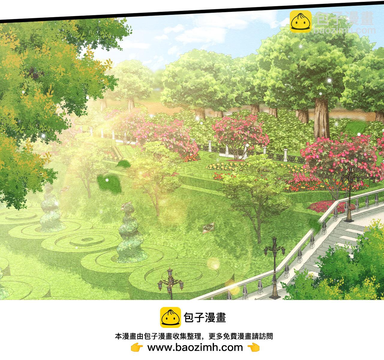 39 玛佩尔的新选择102