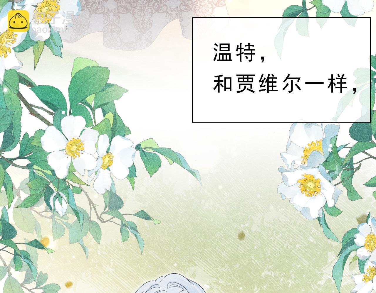 39 玛佩尔的新选择56
