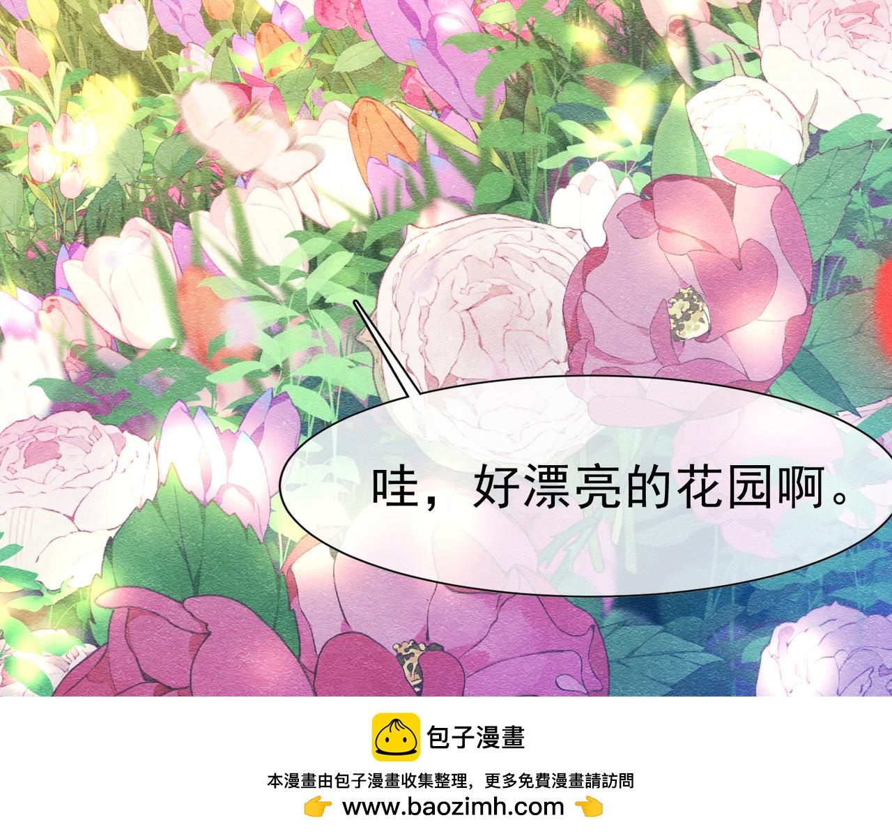 48 神秘花园的主人107