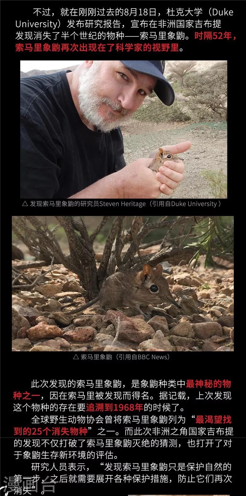 小剧场4 长鼻鼠的秘密6