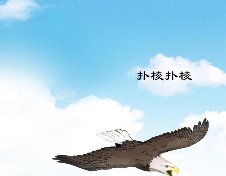 28 飞鸽传书11