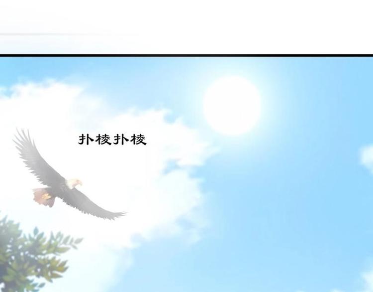 28 飞鸽传书3