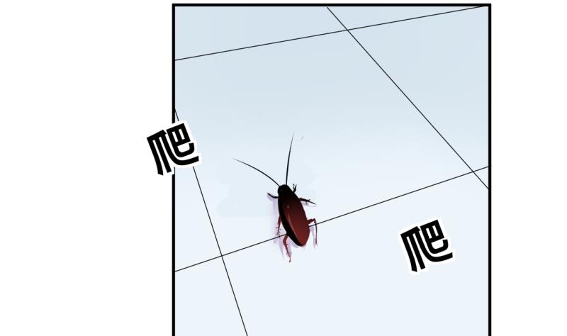 第28话 第三次位面交易 225