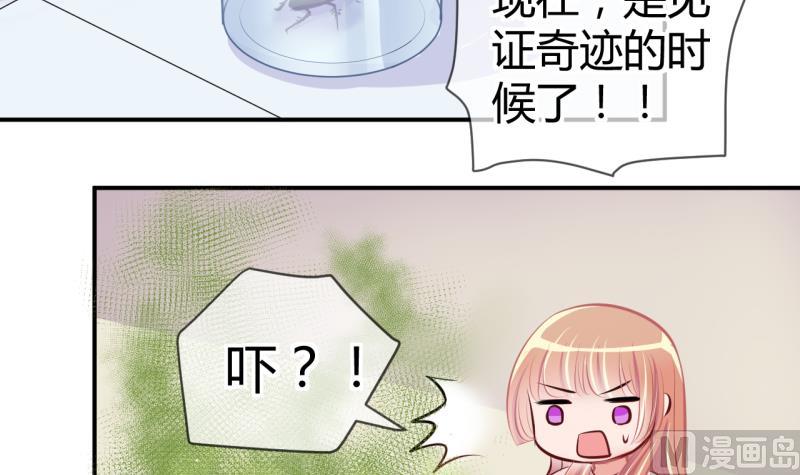 第28话 第三次位面交易 229