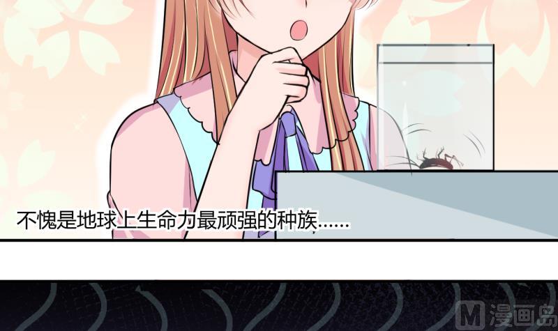 第29话 神奇的交易物品 117