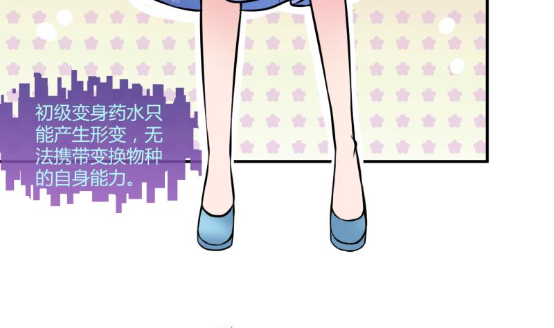 第29话 神奇的交易物品 19