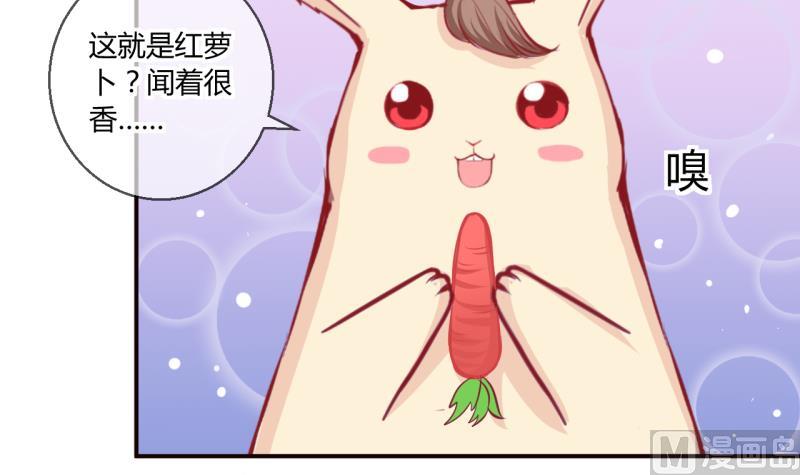 第54话 第四次位面交易 217