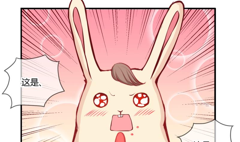 第54话 第四次位面交易 219