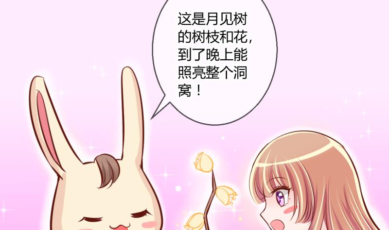 第55话 兔子先生的交易物品 116