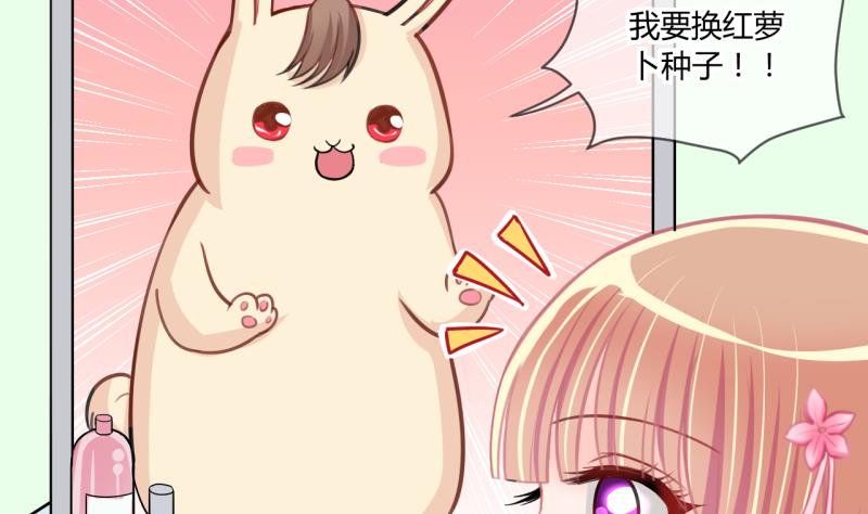 第55话 兔子先生的交易物品 121