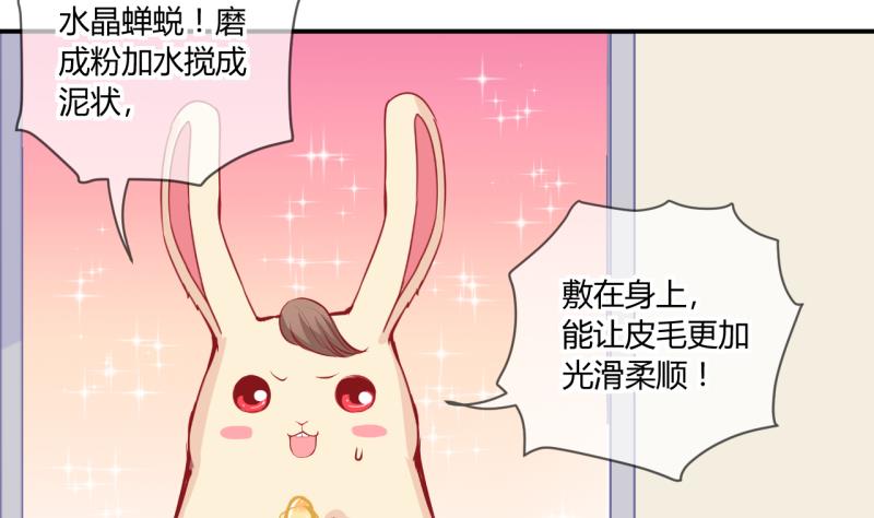 第55话 兔子先生的交易物品 17
