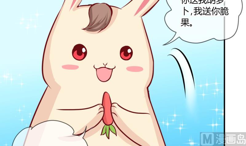 第56话 兔子先生的交易物品 223