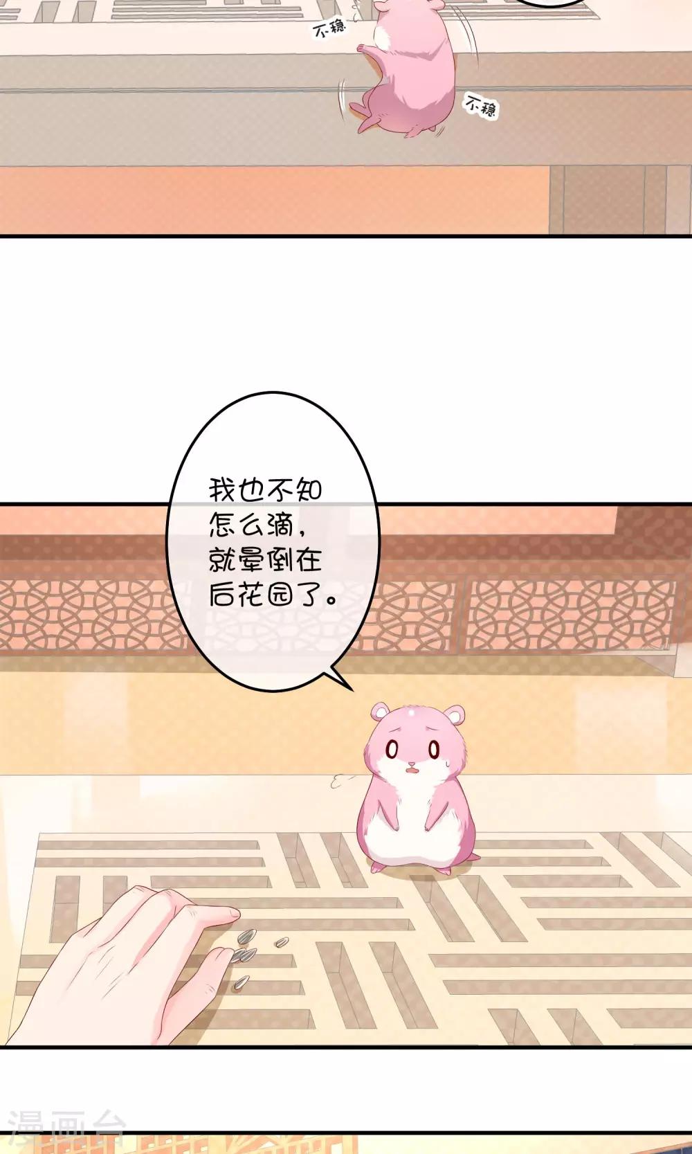第11话 假装恩爱22
