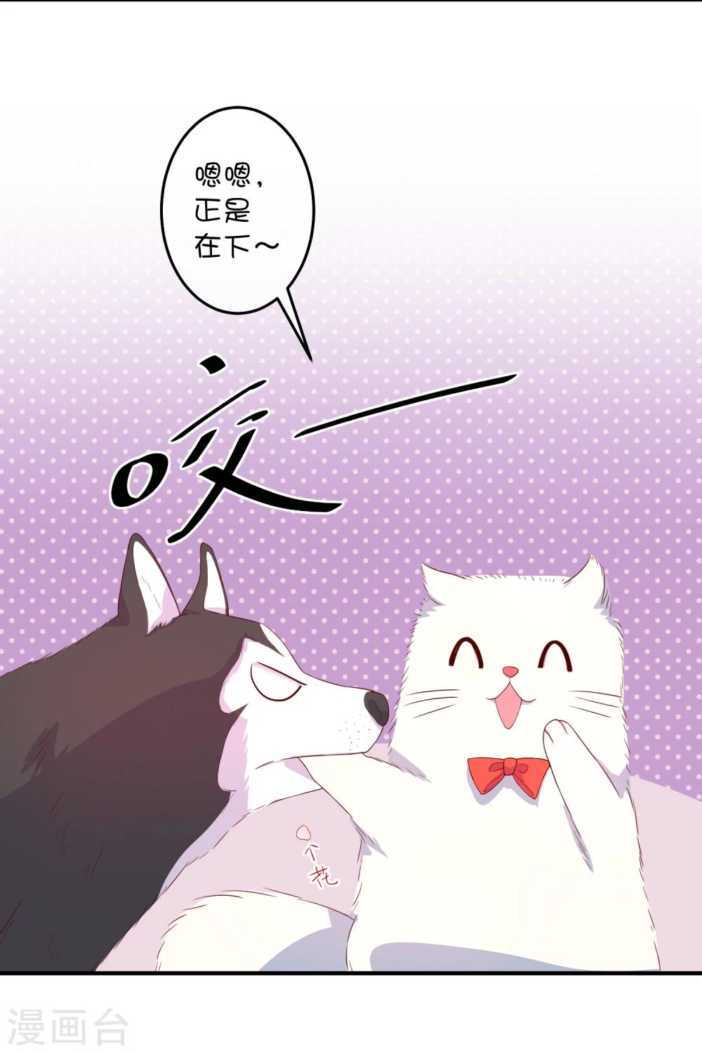 第16话 猫狗再相逢14
