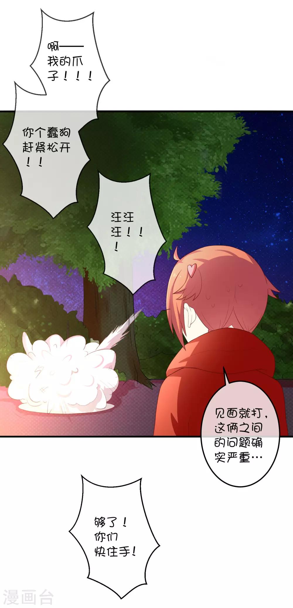 第16话 猫狗再相逢15