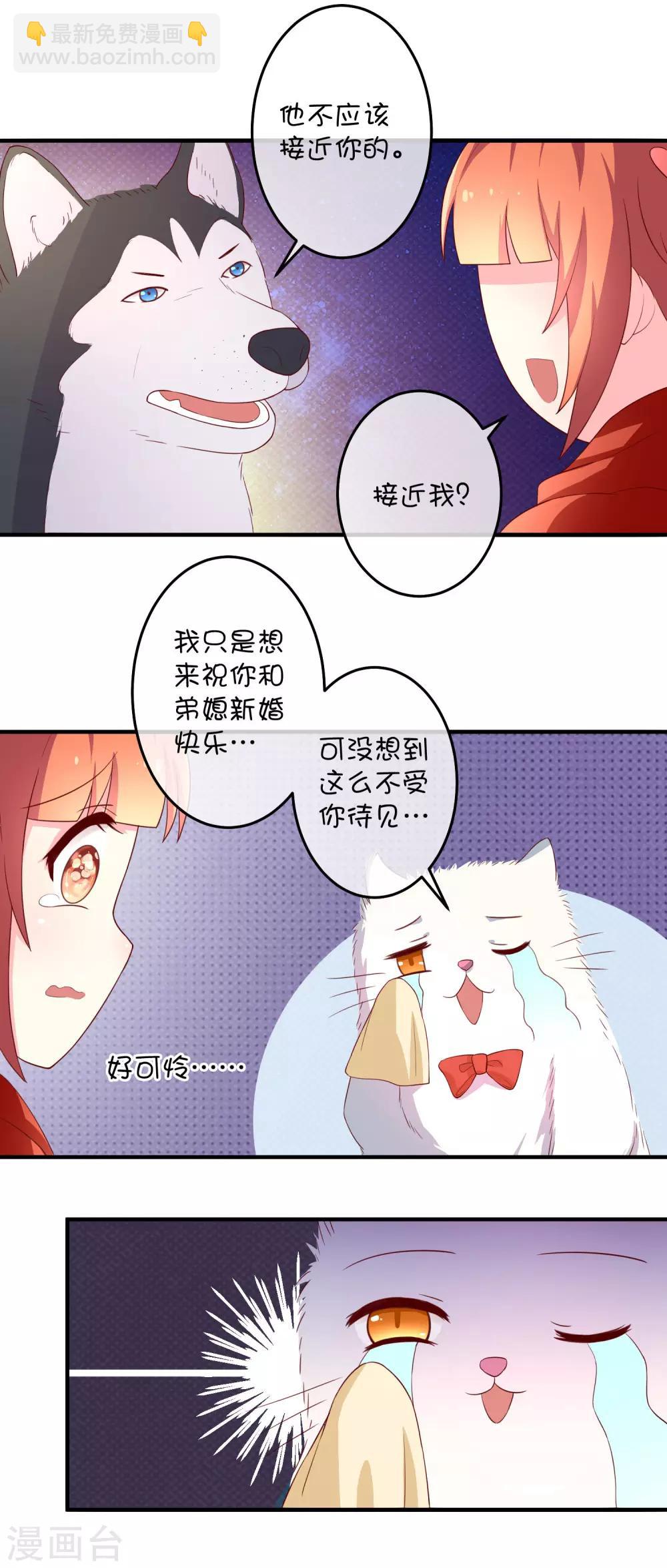 第16话 猫狗再相逢17