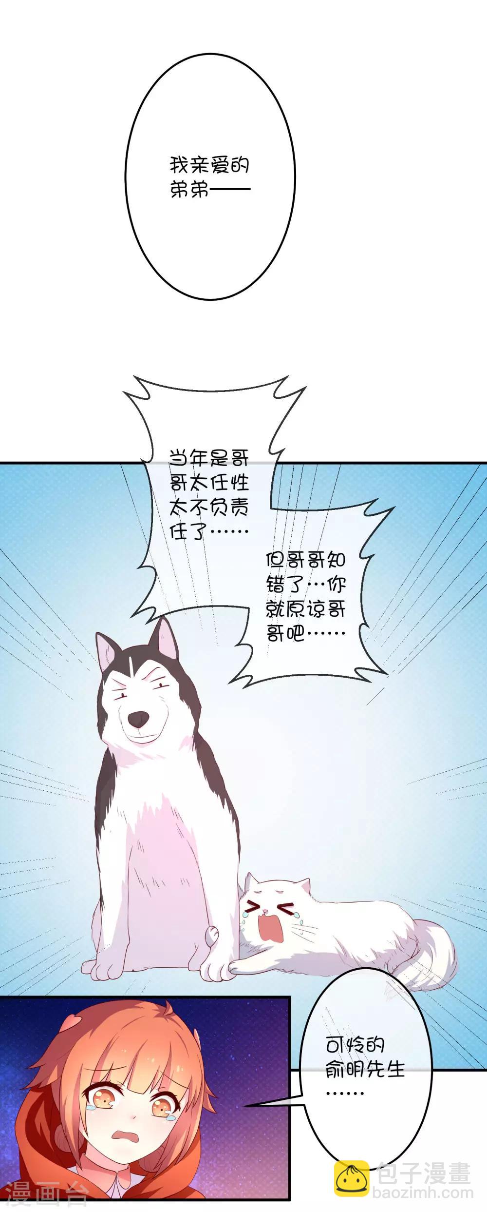 第16话 猫狗再相逢22