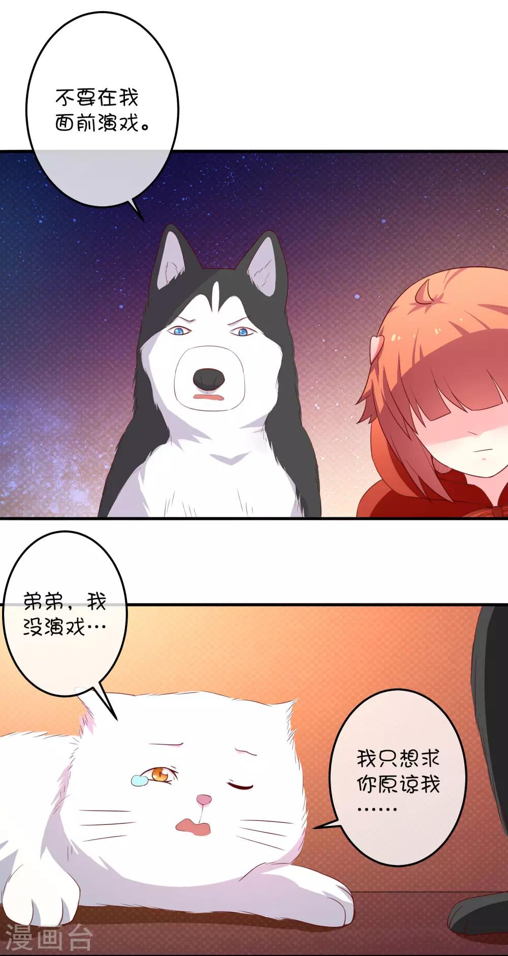 第16话 猫狗再相逢25