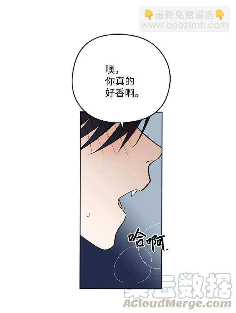 19 牵手成功18