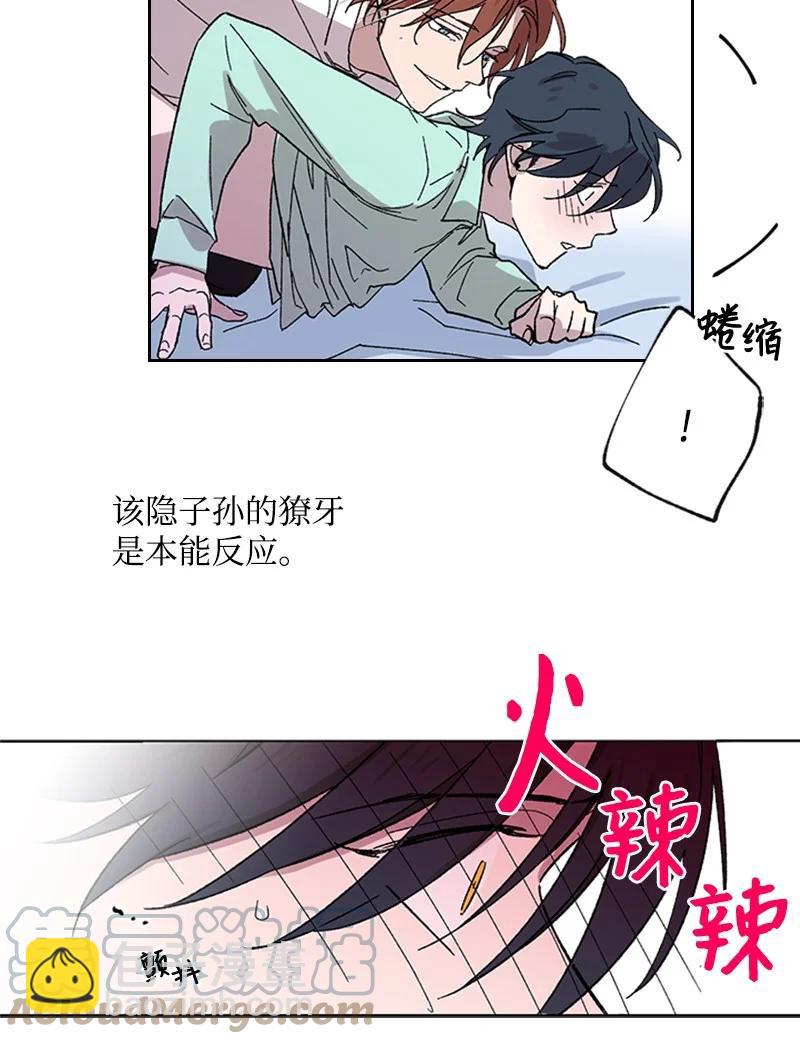 30 伤害4