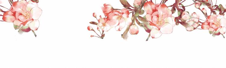 第4话    收留70