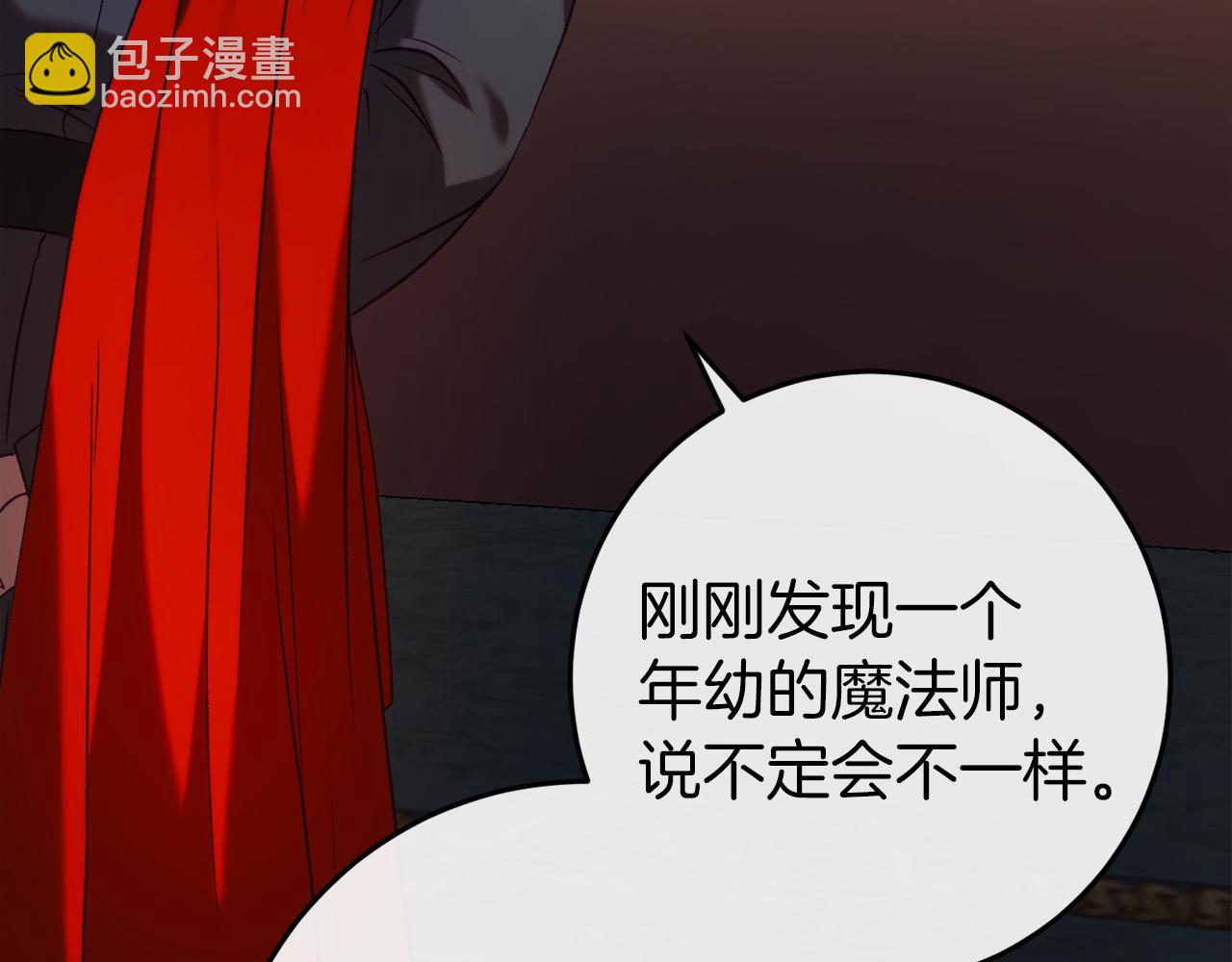 第43话 魔法师之死259