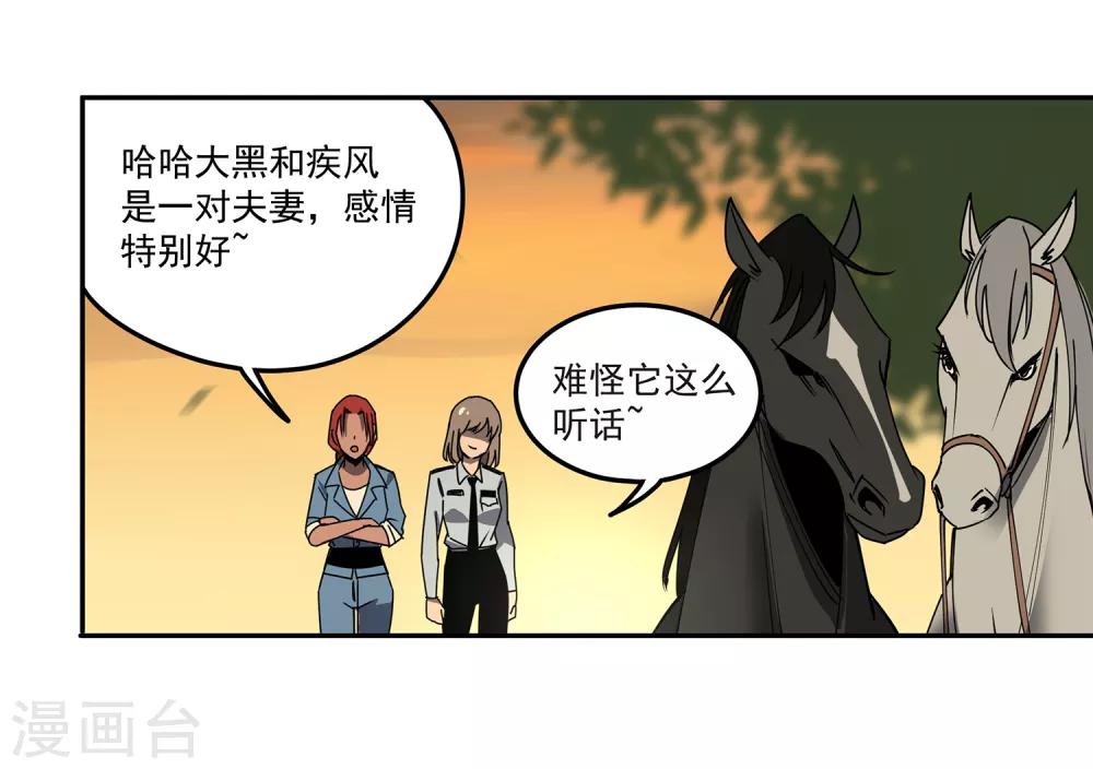 第46话 偷马贼12