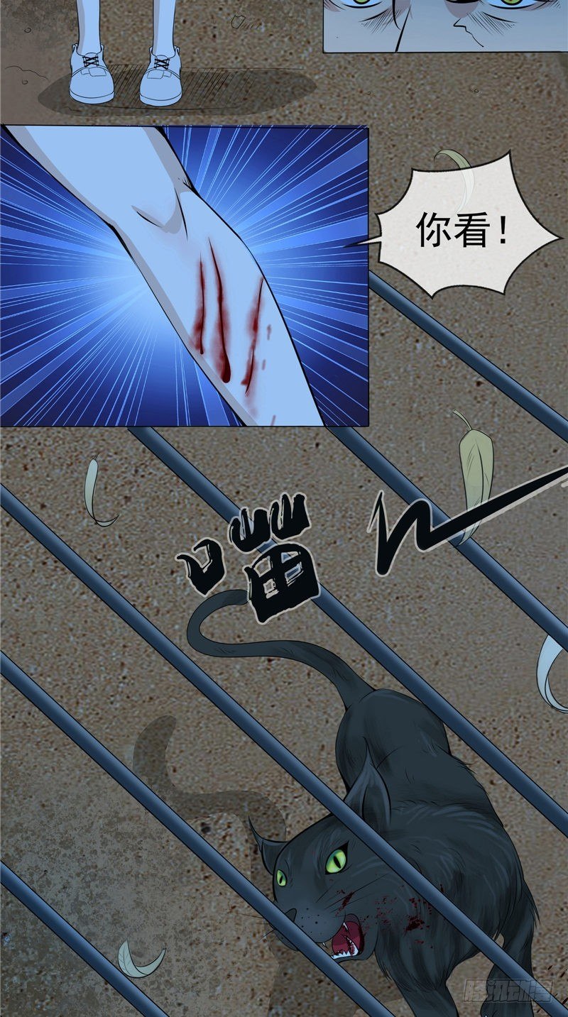 第14话 野猫12