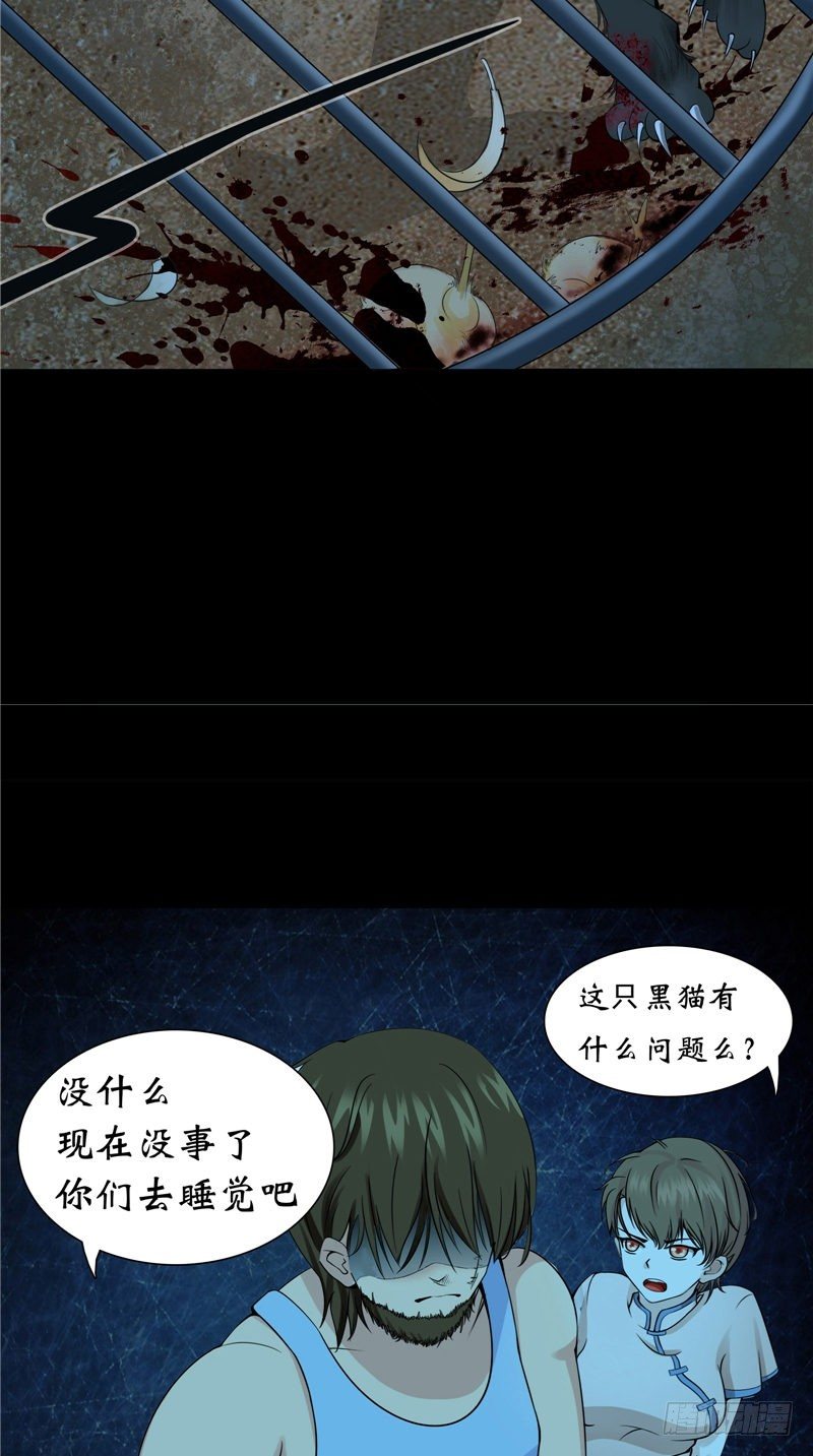 第14话 野猫13