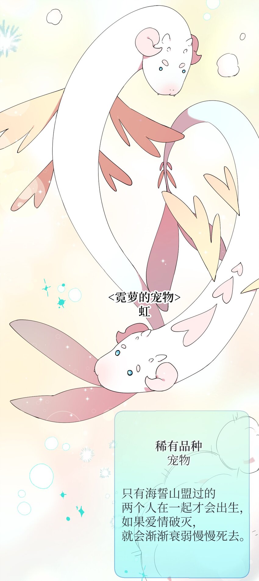 28 爱的宠物17
